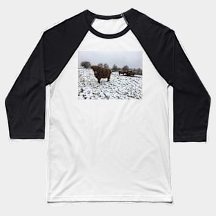 Scottish Highland Cattle Cows 2124 Baseball T-Shirt